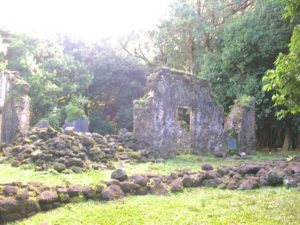 ハワイの神秘「奇跡の川」が流れる森　