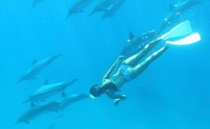 Woman swimming with dolphins