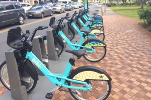 Bike Share Biki