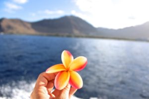 10 Reasons to Fall in Love With a Day Trip on Oahu’s West Side