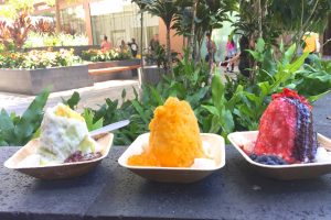 インスタ映えするおしゃれでヘルシーなシェイブアイス Island Vintage Shave Ice