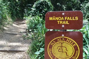 Manoa Falls Trail Closed