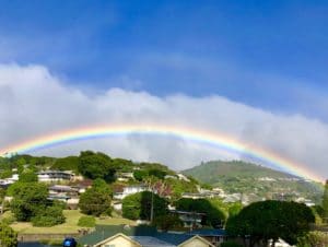 2019年夏限定ツアー！ドルフィン＆ユーオーナー、リチャード・ホーランドの「楽園ハワイでハッピーマンと過ごすハッピーな1日」