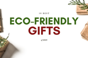 10 Best Eco-Friendly Gifts of 2019