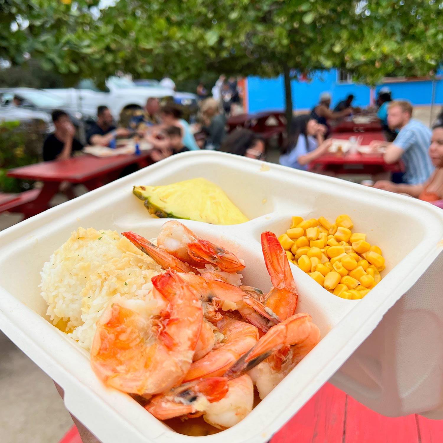 You are currently viewing Fumi’s Shrimp Trucks in Kahuku