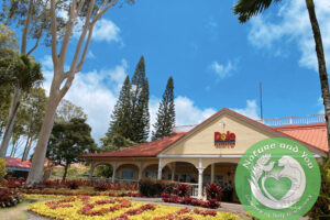 Dole Plantation: A Must-Visit Spot in Oahu, Hawaii