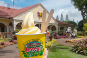 Where is Dole Plantation? Oahu Island in Hawaii