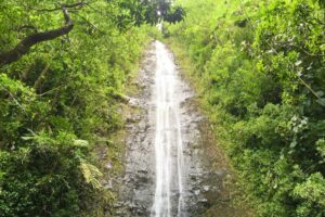 Best Hikes In Hawaii