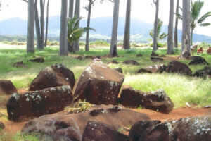 Kukaniloko Birthstones on Oahu Island