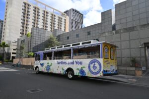 The New Oahu Turtle Trolley ?